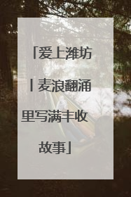 爱上潍坊丨麦浪翻涌里写满丰收故事