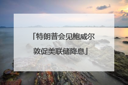 特朗普会见鲍威尔 敦促美联储降息