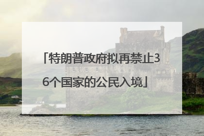 特朗普政府拟再禁止36个国家的公民入境