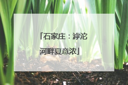 石家庄：滹沱河畔夏意浓