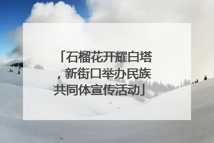 石榴花开耀白塔，新街口举办民族共同体宣传活动
