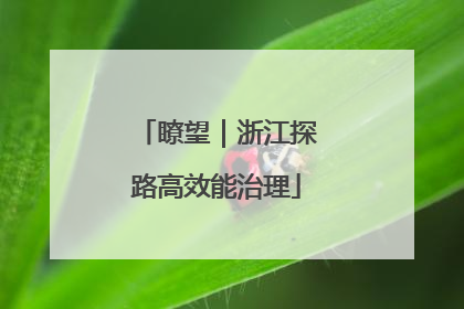 瞭望｜浙江探路高效能治理