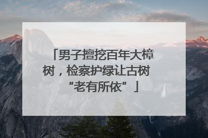 男子擅挖百年大樟树，检察护绿让古树“老有所依”