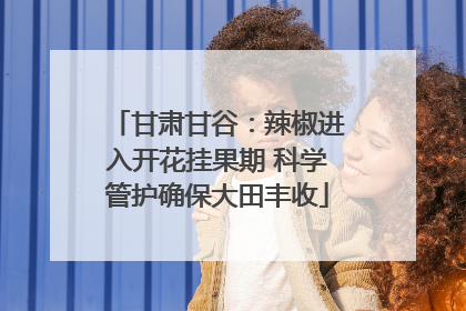甘肃甘谷：辣椒进入开花挂果期 科学管护确保大田丰收