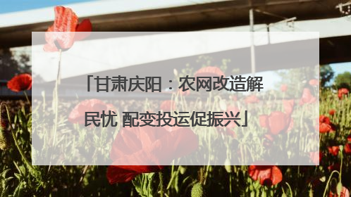 甘肃庆阳：农网改造解民忧 配变投运促振兴