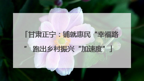 甘肃正宁：铺就惠民“幸福路” 跑出乡村振兴“加速度”