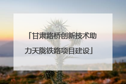 甘肃路桥创新技术助力天陇铁路项目建设