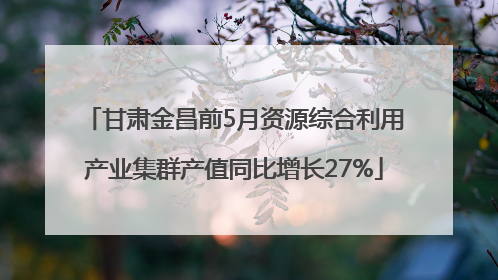 甘肃金昌前5月资源综合利用产业集群产值同比增长27%