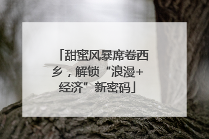甜蜜风暴席卷西乡，解锁“浪漫+经济”新密码