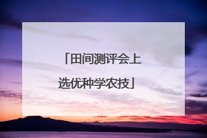 田间测评会上选优种学农技