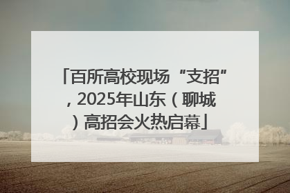 百所高校现场“支招”，2025年山东（聊城）高招会火热启幕