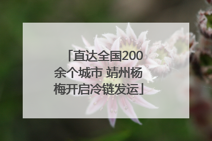 直达全国200余个城市 靖州杨梅开启冷链发运
