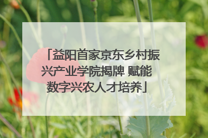 益阳首家京东乡村振兴产业学院揭牌 赋能数字兴农人才培养