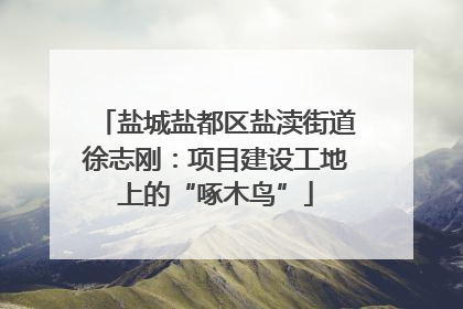 盐城盐都区盐渎街道徐志刚：项目建设工地上的“啄木鸟”