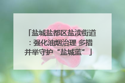 盐城盐都区盐渎街道：强化油烟治理 多措并举守护“盐城蓝”