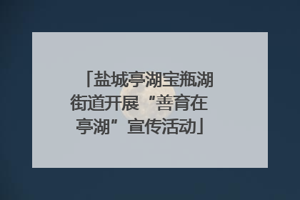 盐城亭湖宝瓶湖街道开展“善育在亭湖”宣传活动