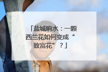 盐城响水：一颗西兰花如何变成“致富花”？
