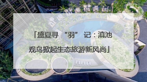 盛夏寻 “羽” 记：滇池观鸟掀起生态旅游新风尚
