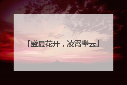 盛夏花开，凌霄攀云