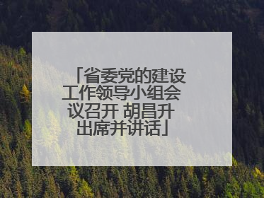 省委党的建设工作领导小组会议召开 胡昌升出席并讲话