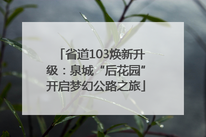 省道103焕新升级：泉城“后花园”开启梦幻公路之旅