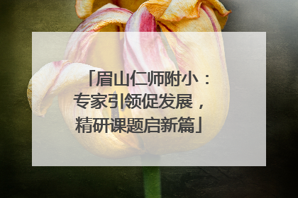 眉山仁师附小：专家引领促发展，精研课题启新篇