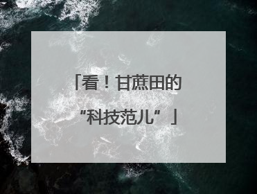 看！甘蔗田的“科技范儿”