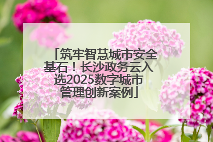 筑牢智慧城市安全基石！长沙政务云入选2025数字城市管理创新案例