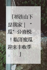 祁连山下是我家｜“瓜”分喜悦！临泽蜜瓜迎来丰收季