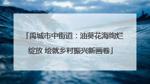 禹城市中街道：油葵花海绚烂绽放 绘就乡村振兴新画卷