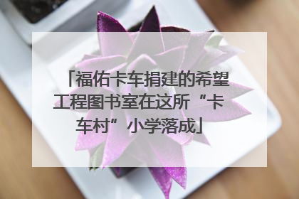 福佑卡车捐建的希望工程图书室在这所“卡车村”小学落成