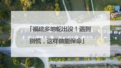 福建多地蛇出没！遇到别慌，这样做能保命