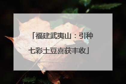 福建武夷山：引种七彩土豆喜获丰收