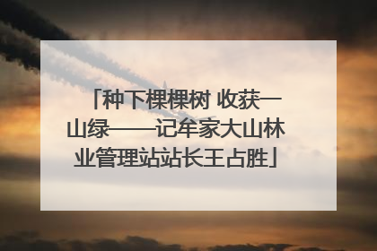 种下棵棵树 收获一山绿——记牟家大山林业管理站站长王占胜