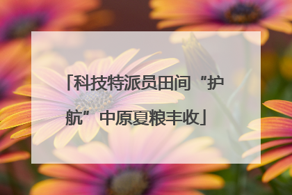 科技特派员田间“护航”中原夏粮丰收