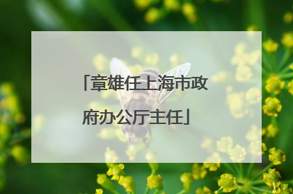 章雄任上海市政府办公厅主任