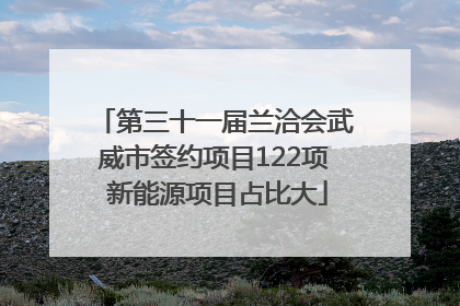第三十一届兰洽会武威市签约项目122项 新能源项目占比大
