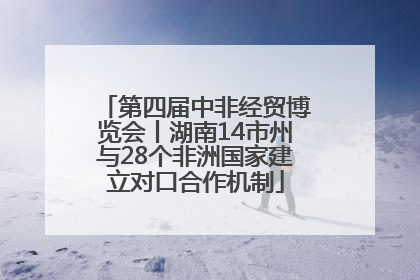 第四届中非经贸博览会丨湖南14市州与28个非洲国家建立对口合作机制