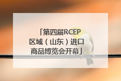 第四届RCEP区域（山东）进口商品博览会开幕