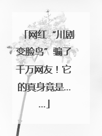 网红“川剧变脸鸟”骗了千万网友！它的真身竟是……