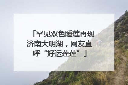 罕见双色睡莲再现济南大明湖，网友直呼“好运莲莲”