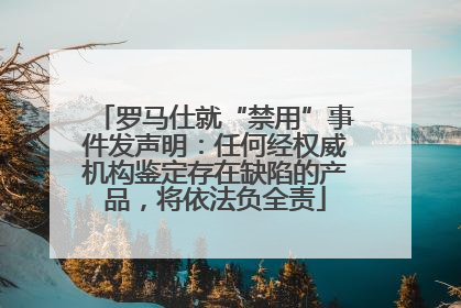 罗马仕就“禁用”事件发声明：任何经权威机构鉴定存在缺陷的产品，将依法负全责