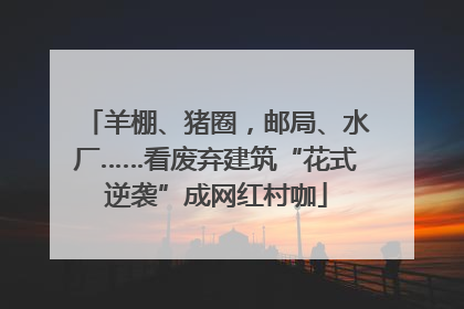 羊棚、猪圈，邮局、水厂……看废弃建筑“花式逆袭”成网红村咖