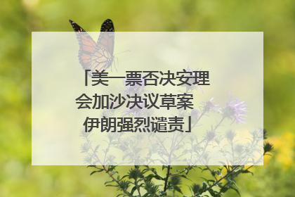 美一票否决安理会加沙决议草案 伊朗强烈谴责