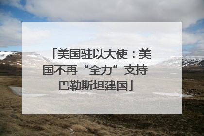 美国驻以大使：美国不再“全力”支持巴勒斯坦建国