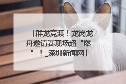 群龙竞渡！龙岗龙舟邀请赛现场超“燃”！_深圳新闻网