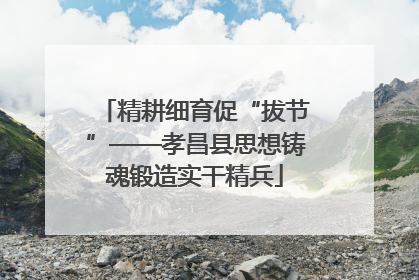 精耕细育促“拔节”——孝昌县思想铸魂锻造实干精兵