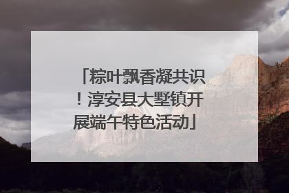 粽叶飘香凝共识！淳安县大墅镇开展端午特色活动