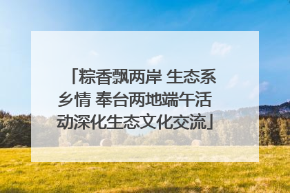 粽香飘两岸 生态系乡情 奉台两地端午活动深化生态文化交流
