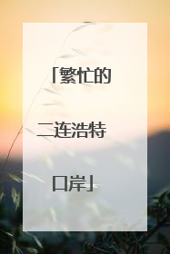 繁忙的二连浩特口岸